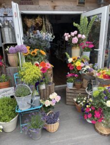 Weymouth's vibrant floral haven