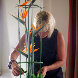 Demonstrations by Fiona Penny at Sunflowers