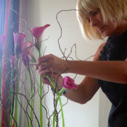 Demonstrations by Fiona Penny at Sunflowers